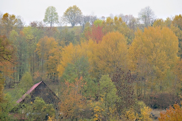 S dětmi na chalupě - obrázek nr. 1